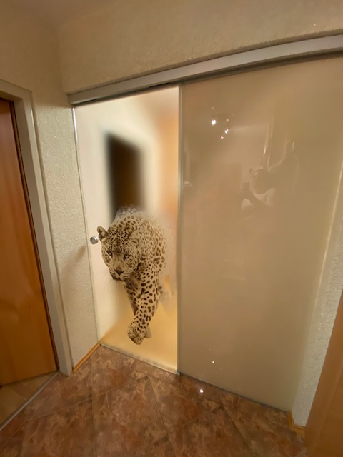 Schiebetür mit Digitaldruck-Motiv